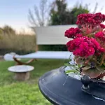 Il Giardino Dei Gelsi