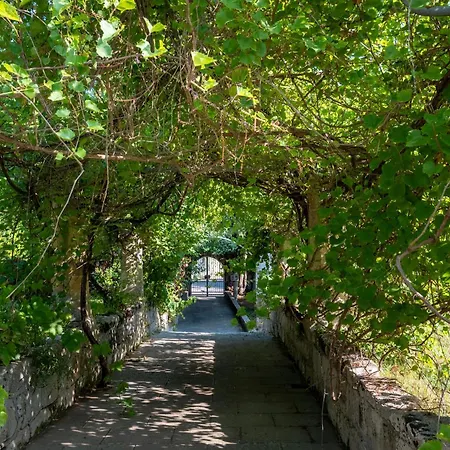 Villa Il Giardino Dei Gelsi *