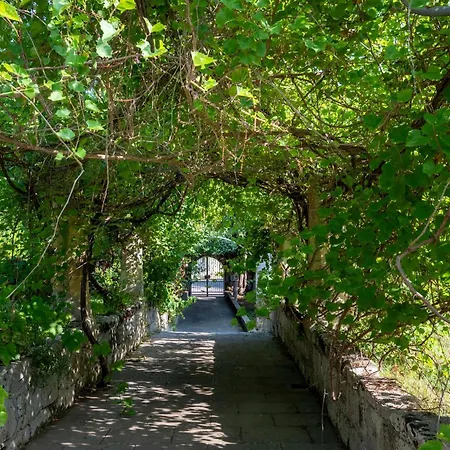 Il Giardino Dei Gelsi *