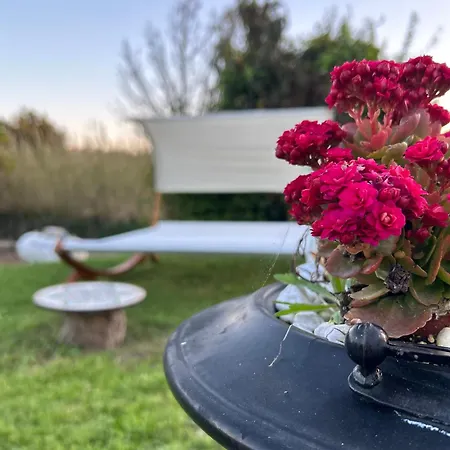 Il Giardino Dei Gelsi