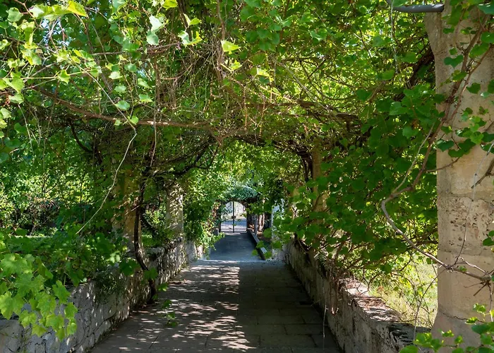 Villa Il Giardino Dei Gelsi *